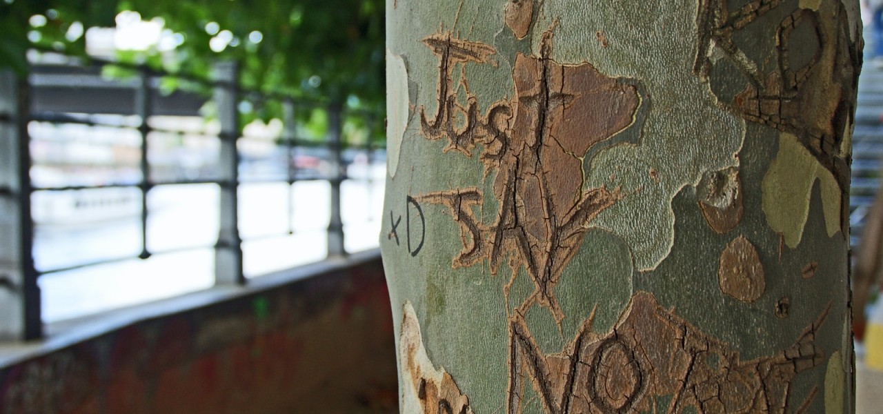shallow focus photography of just say no carved on tree trunk